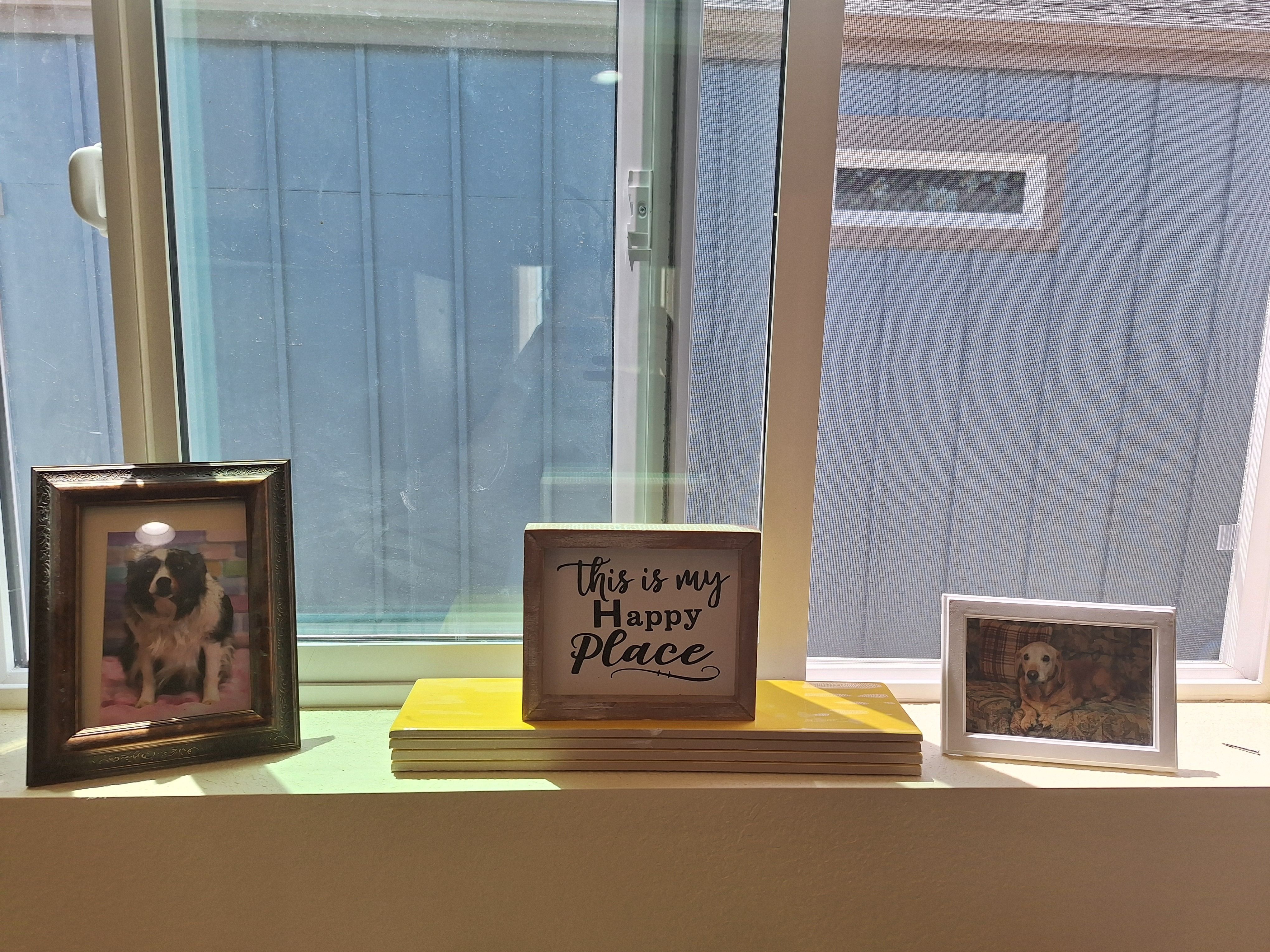 Trilby's dog pictures with a sign saying "this is my happy place" on her kitchen during construction.