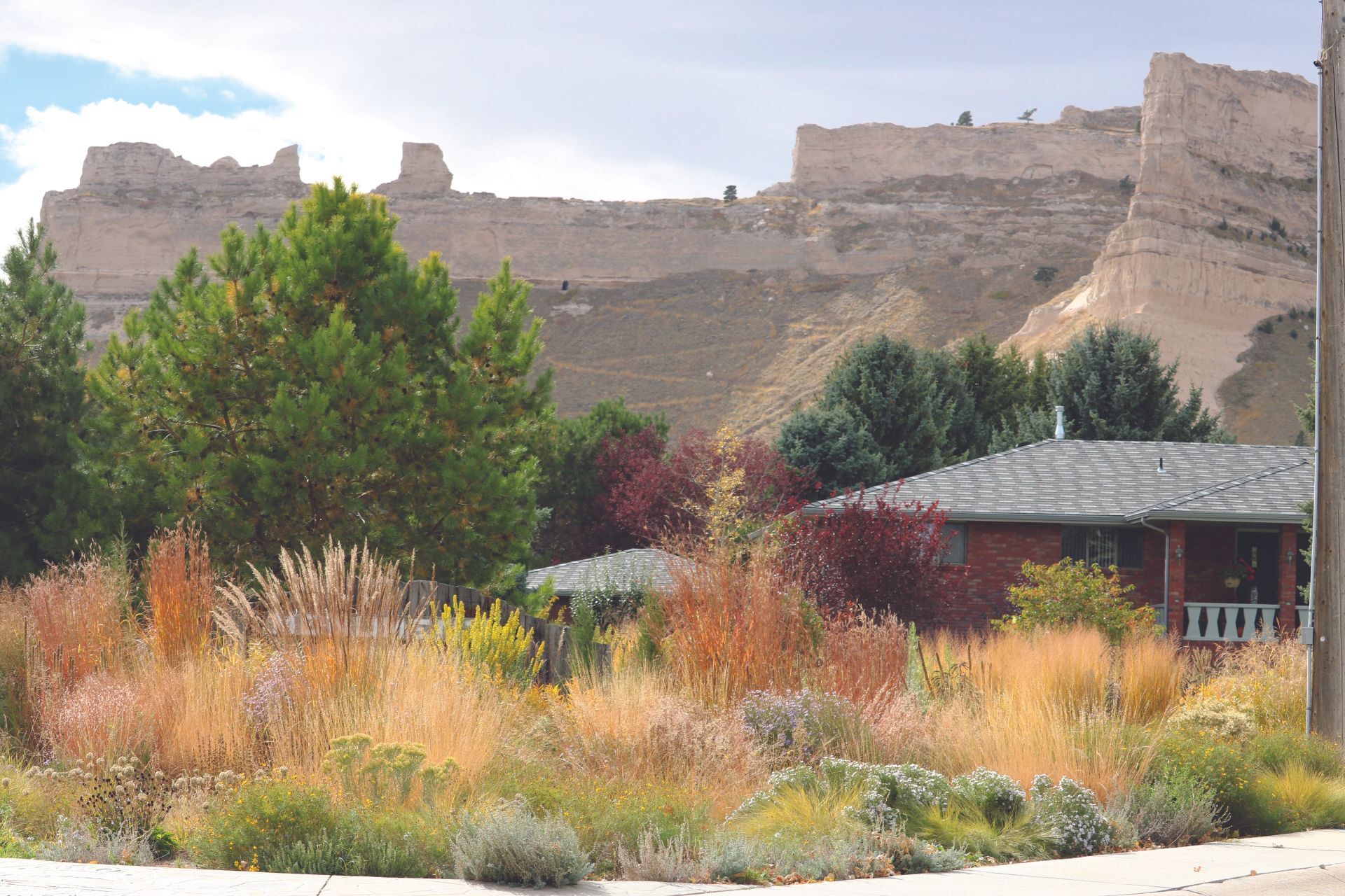 Great Grasses for the Great Plains