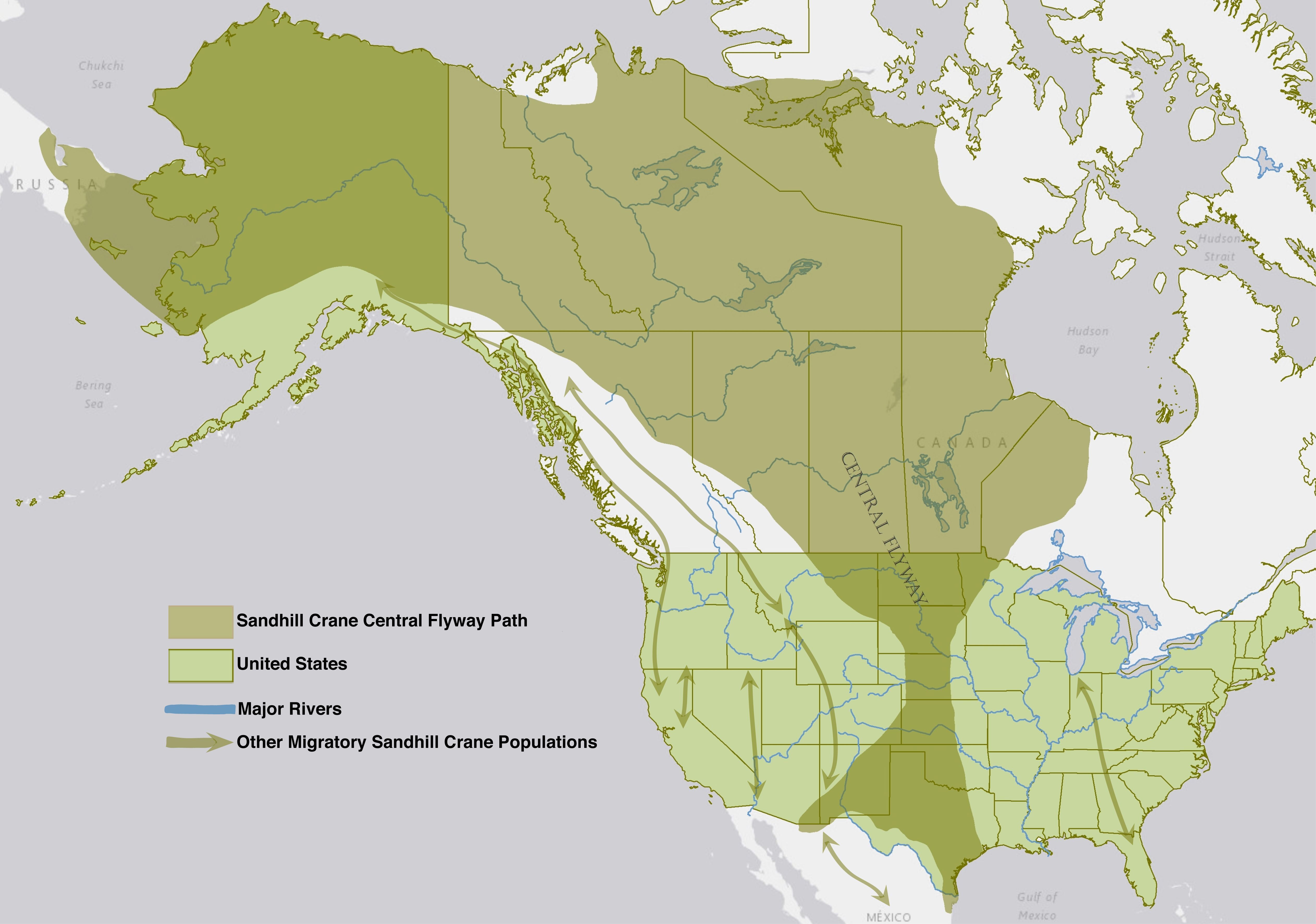 Romance of the Sandhill Cranes » CREW Land & Water Trust