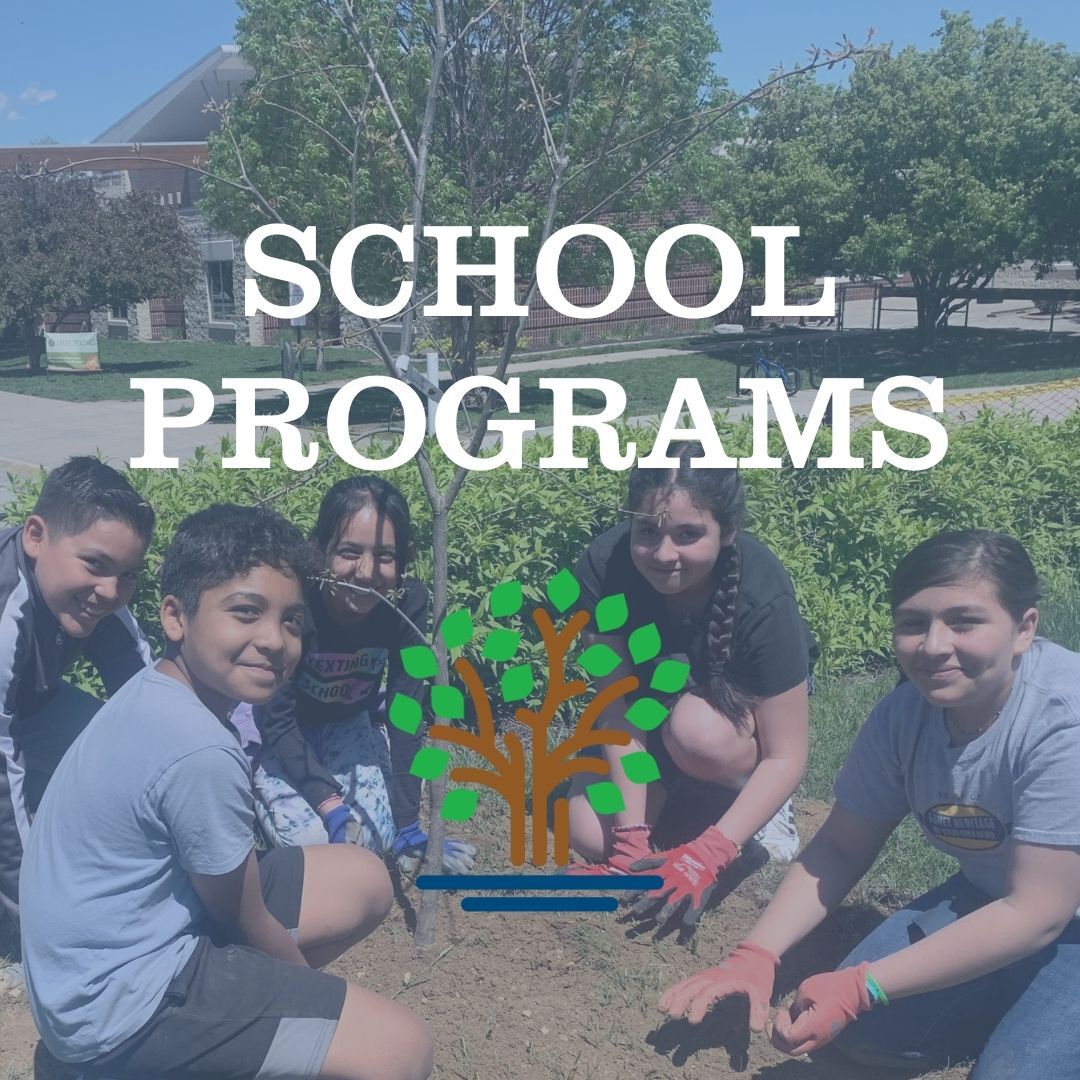 Tree Programs in Schools: