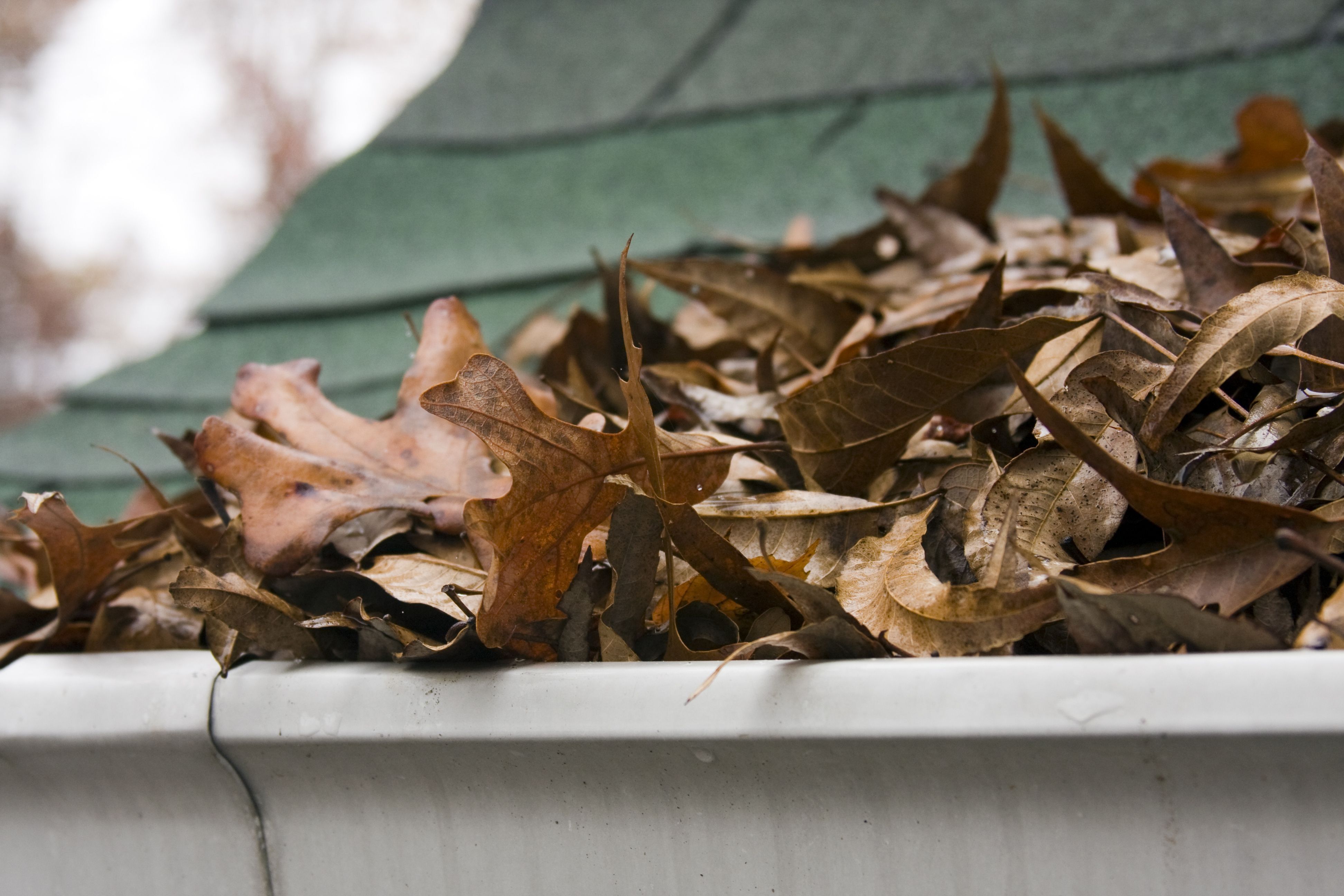 Gutter Cleaning & Installation