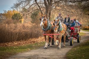 The Arc of the South Shore’ 5th Annual Holiday Festival (12/7/25)