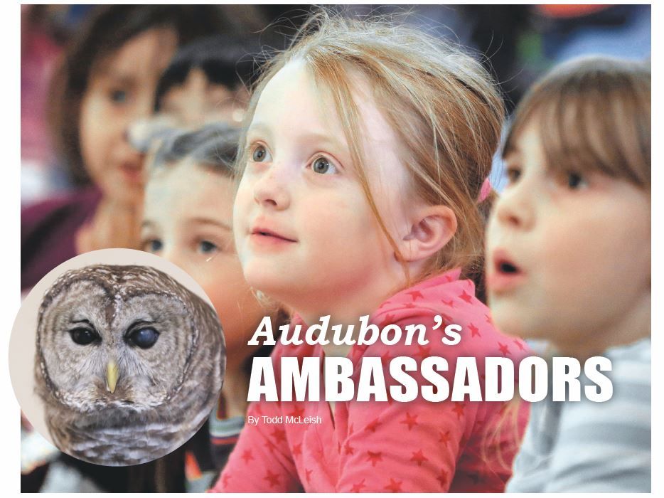 Audubon's Ambassadors AUdubon Society of Rhode Island Environment Education Programs