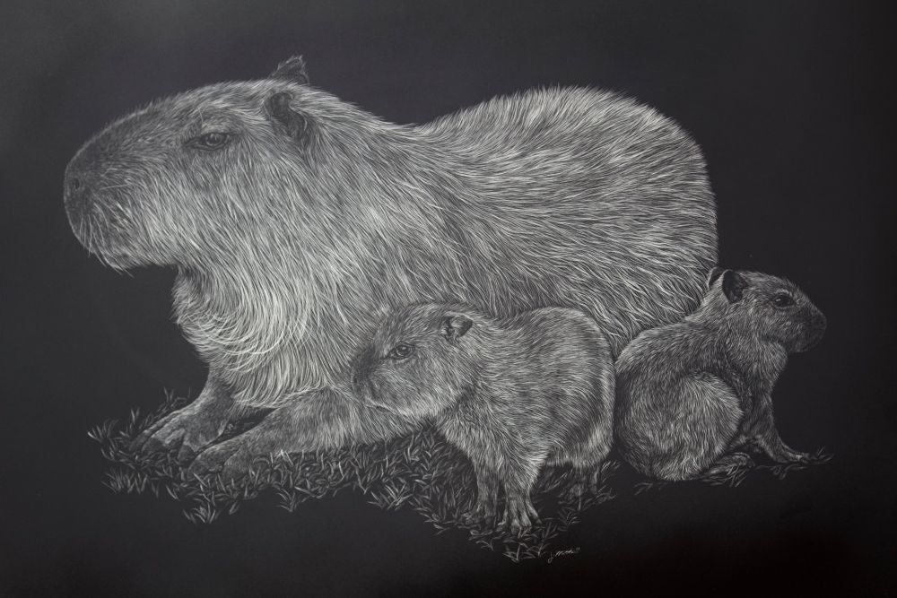 Capybara