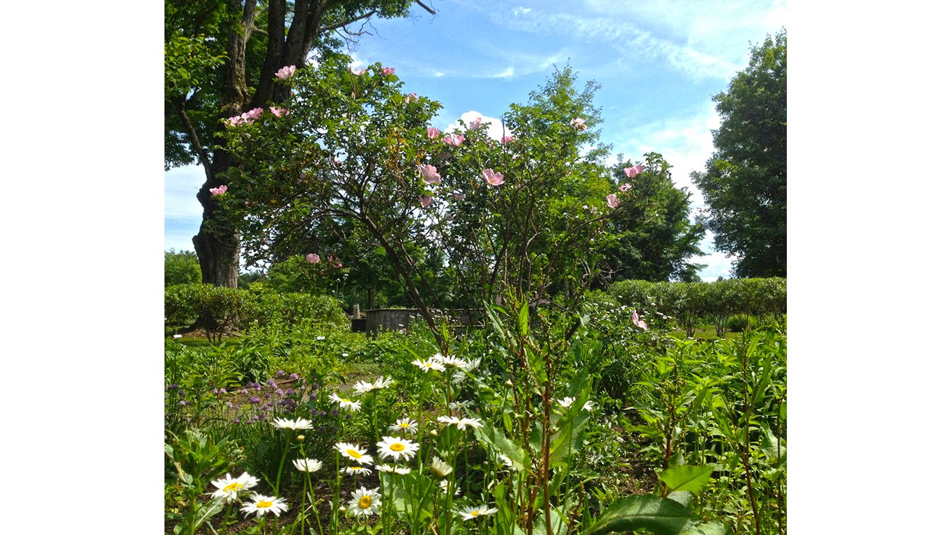 New England Unit Teaching Garden