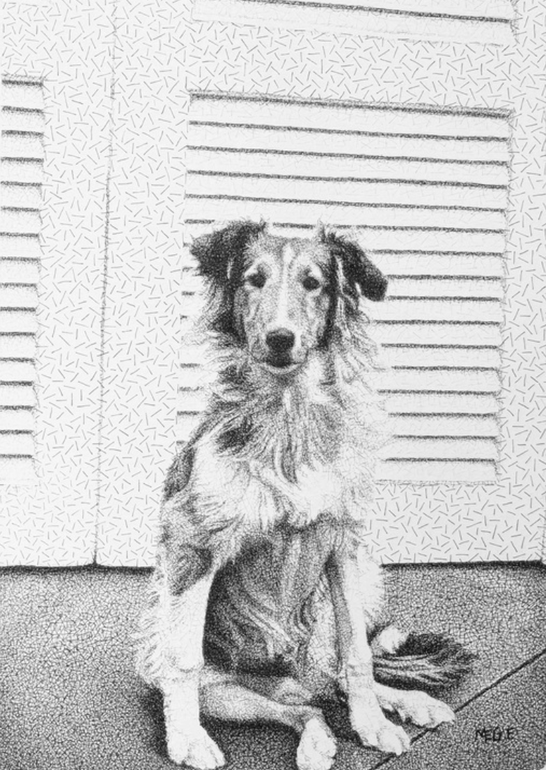 Animal Portraits with Margaret Fanning (Workshop)