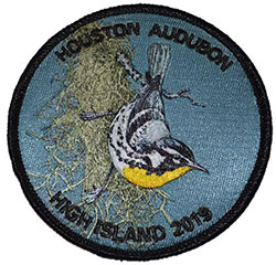 2019 patch