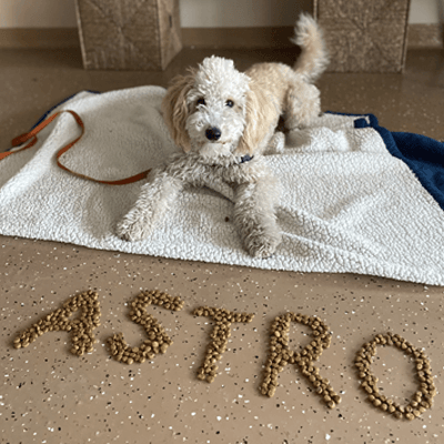 Astro Posing on Blanket