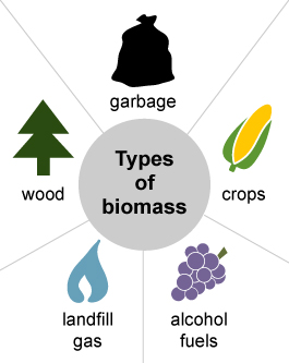 Types of Biomass