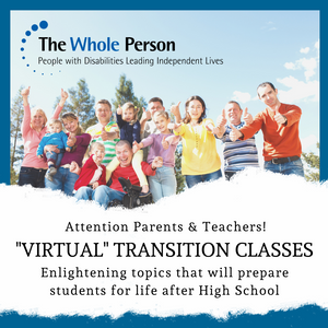 Graphic with title "Virtual Transition Classes"