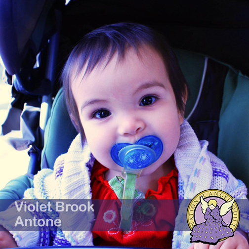 Violet-Brook-Antone