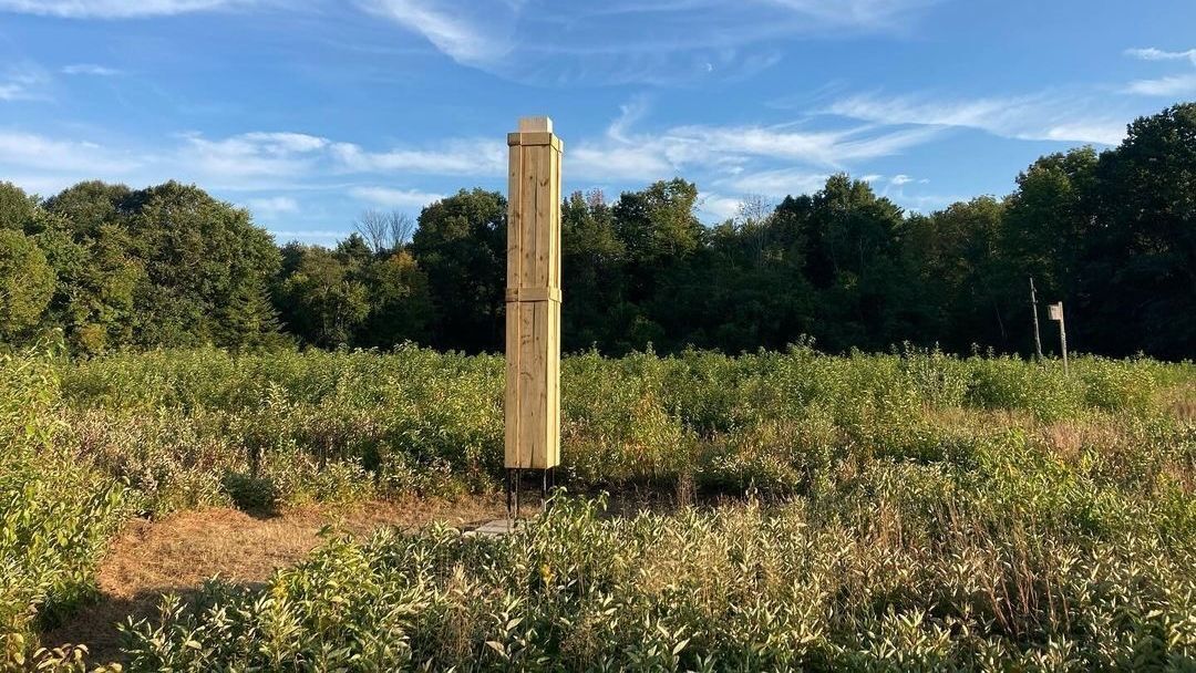 Chimney Swift Tower in the Meadow at Caratunk