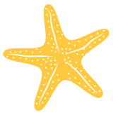 Starfish Leadership Award