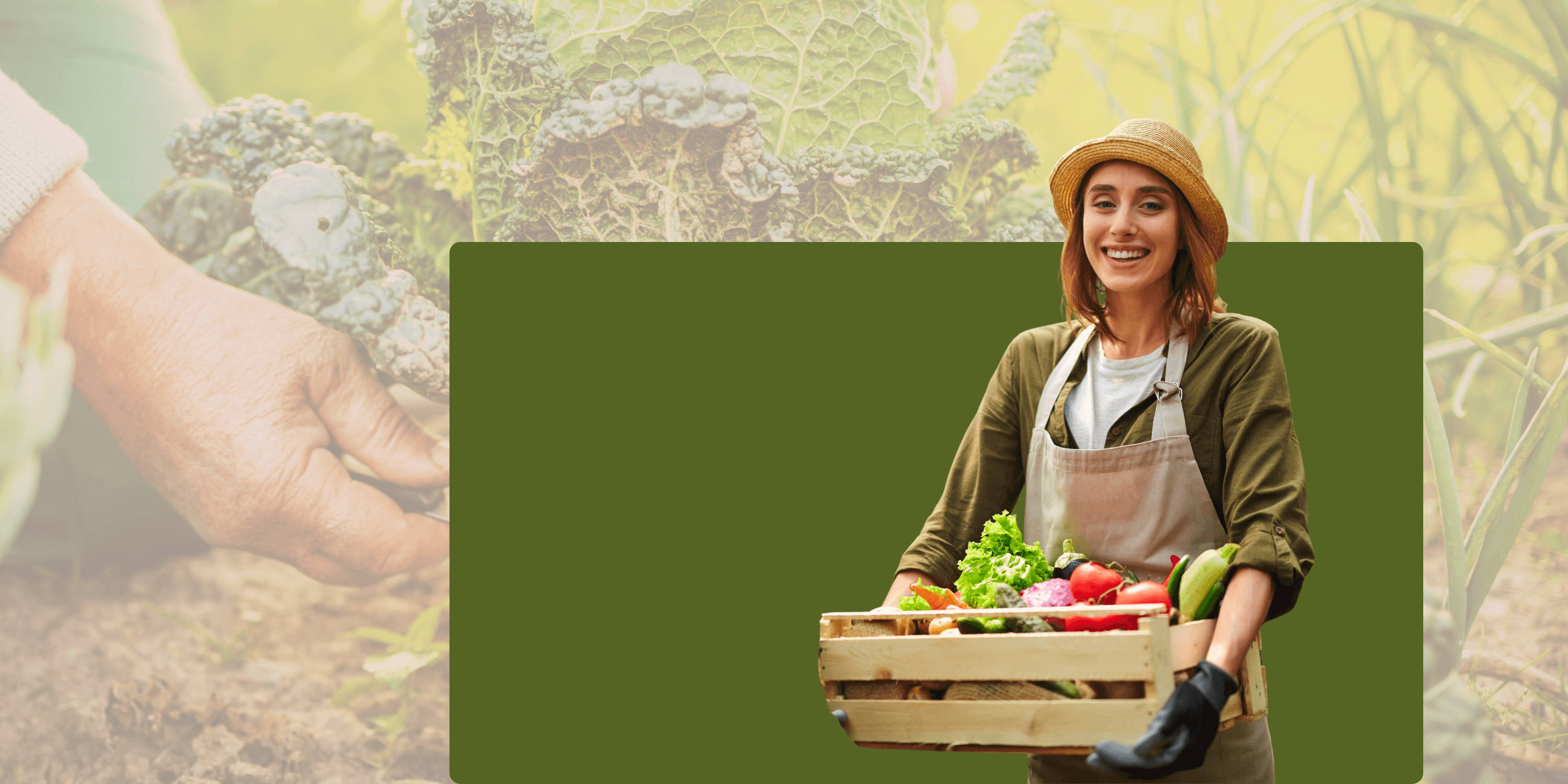 NEW CLASSES! Vegetable Gardening 101!