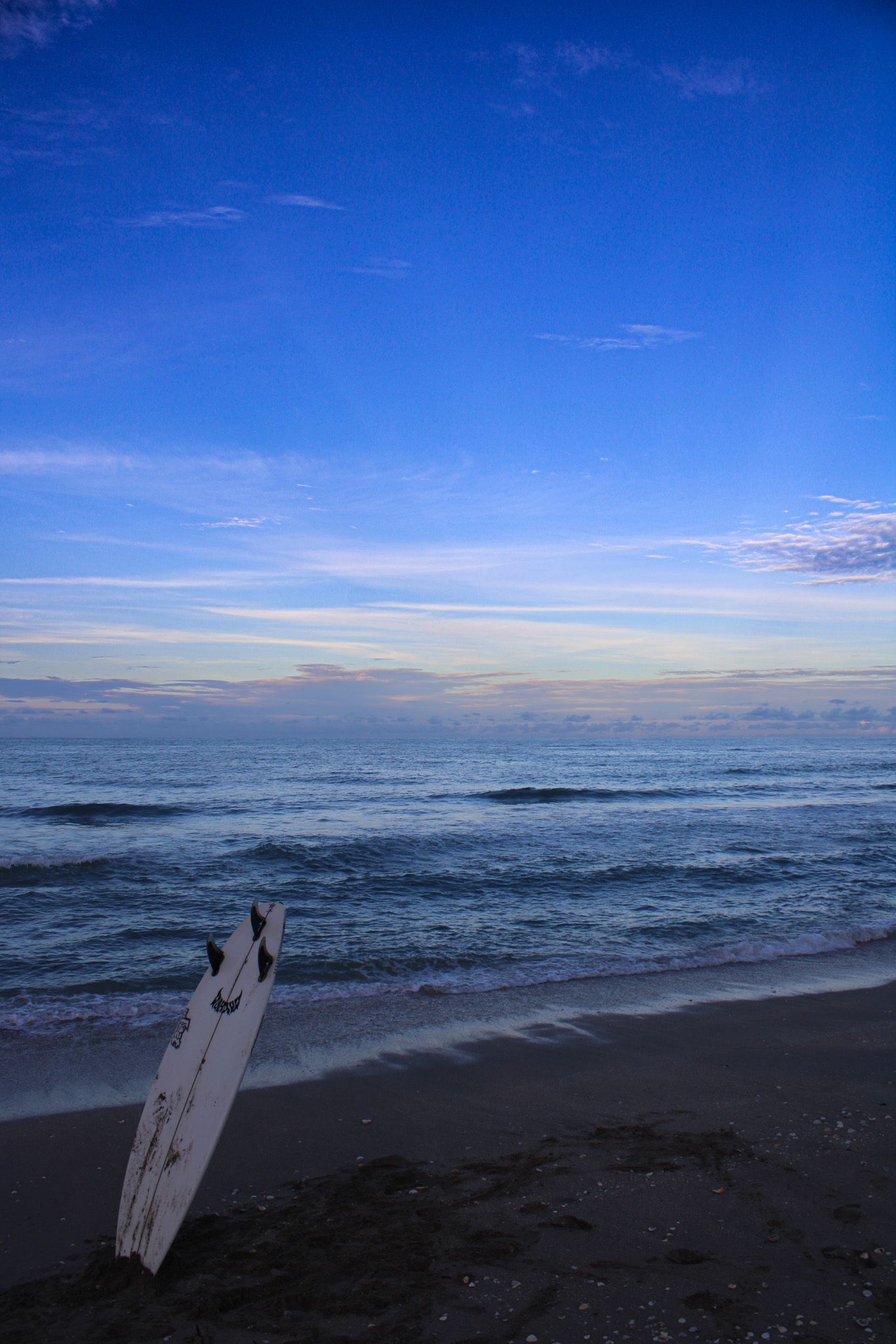 Martin County Supervisor of Elections