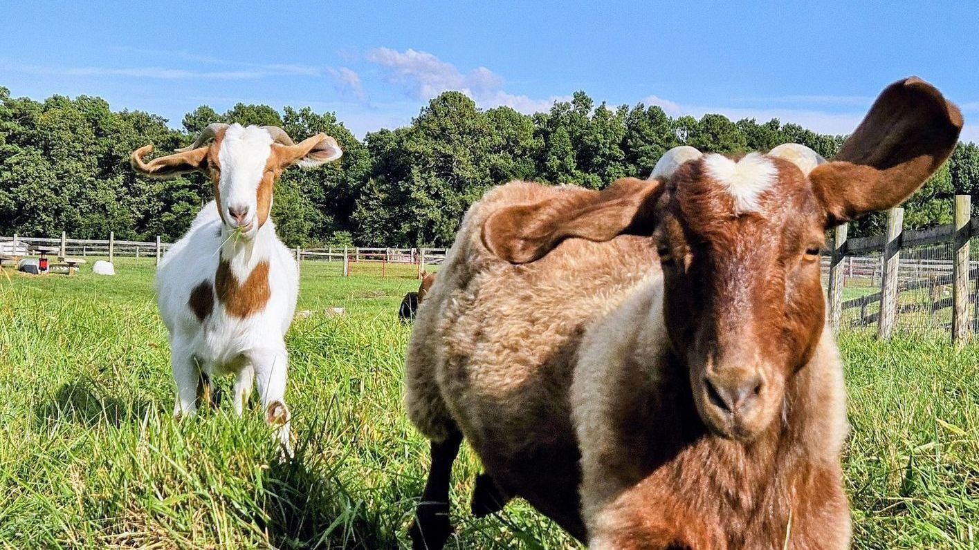 Running Shoes on Steps
