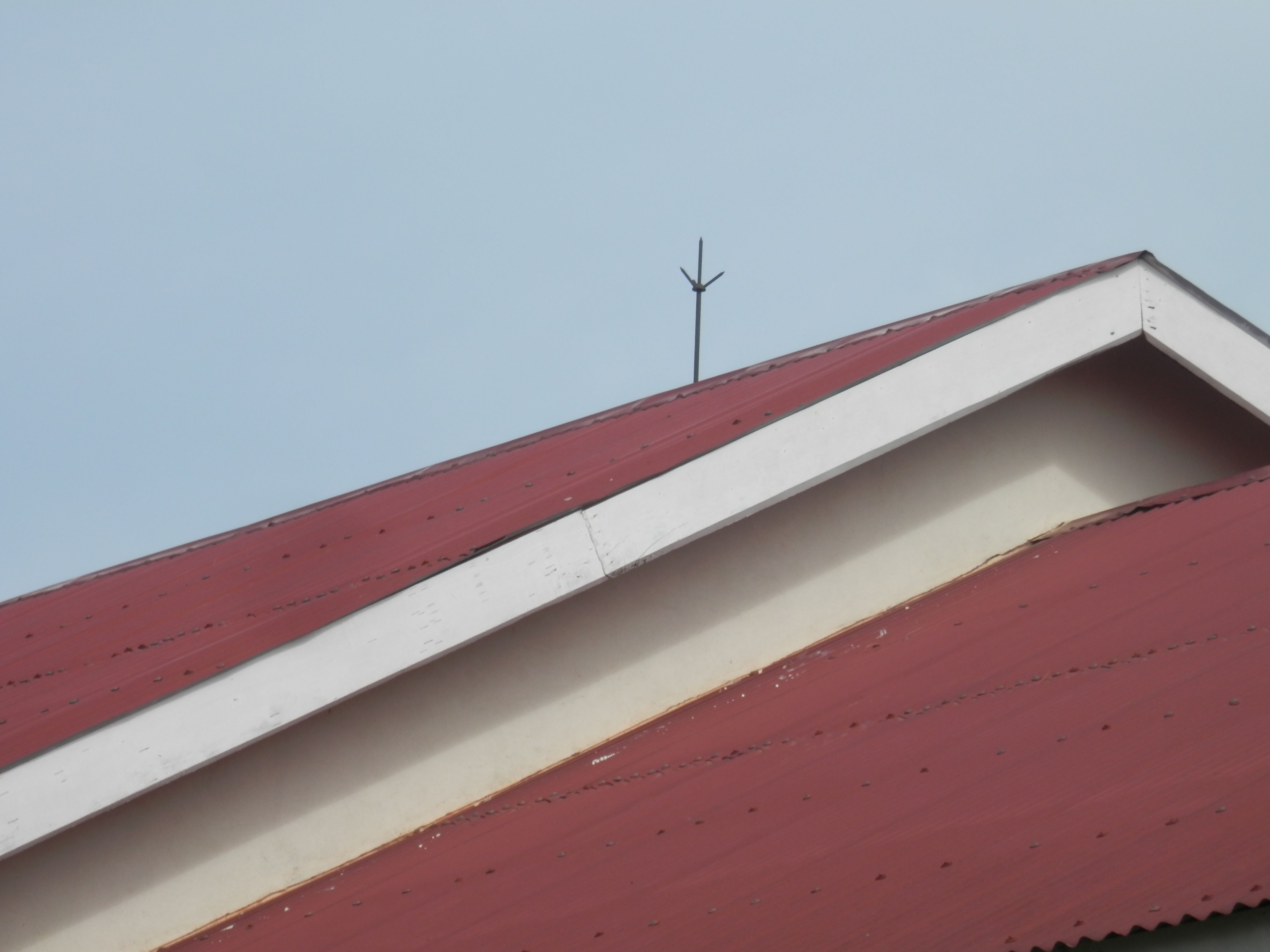 PA282238.JPG