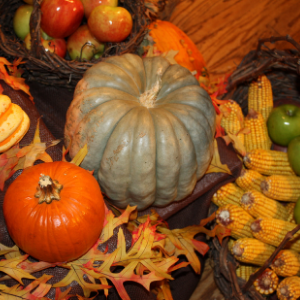 photo of pumpkins, gourds and autumn leaves