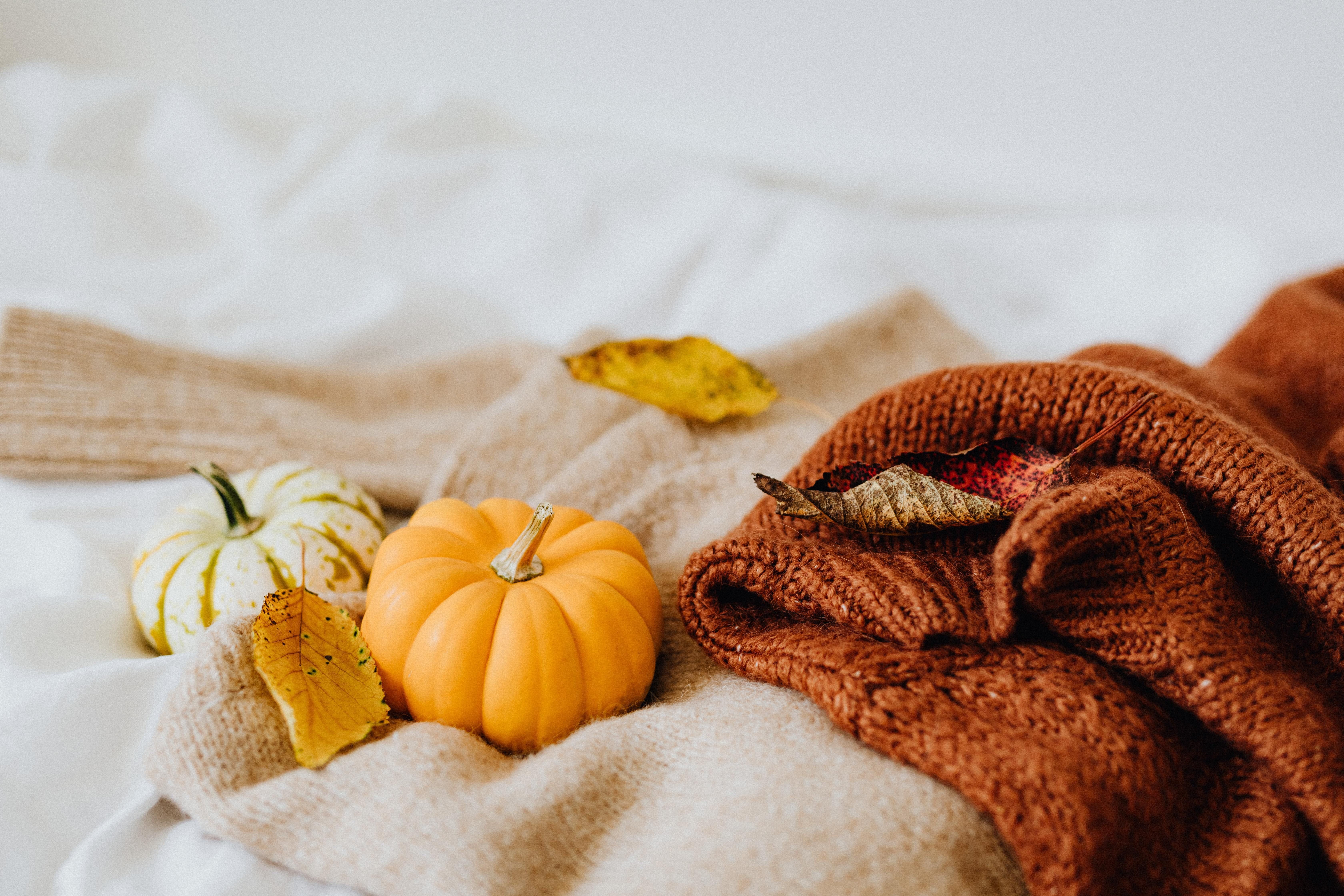 Pumpkins and blanket image.