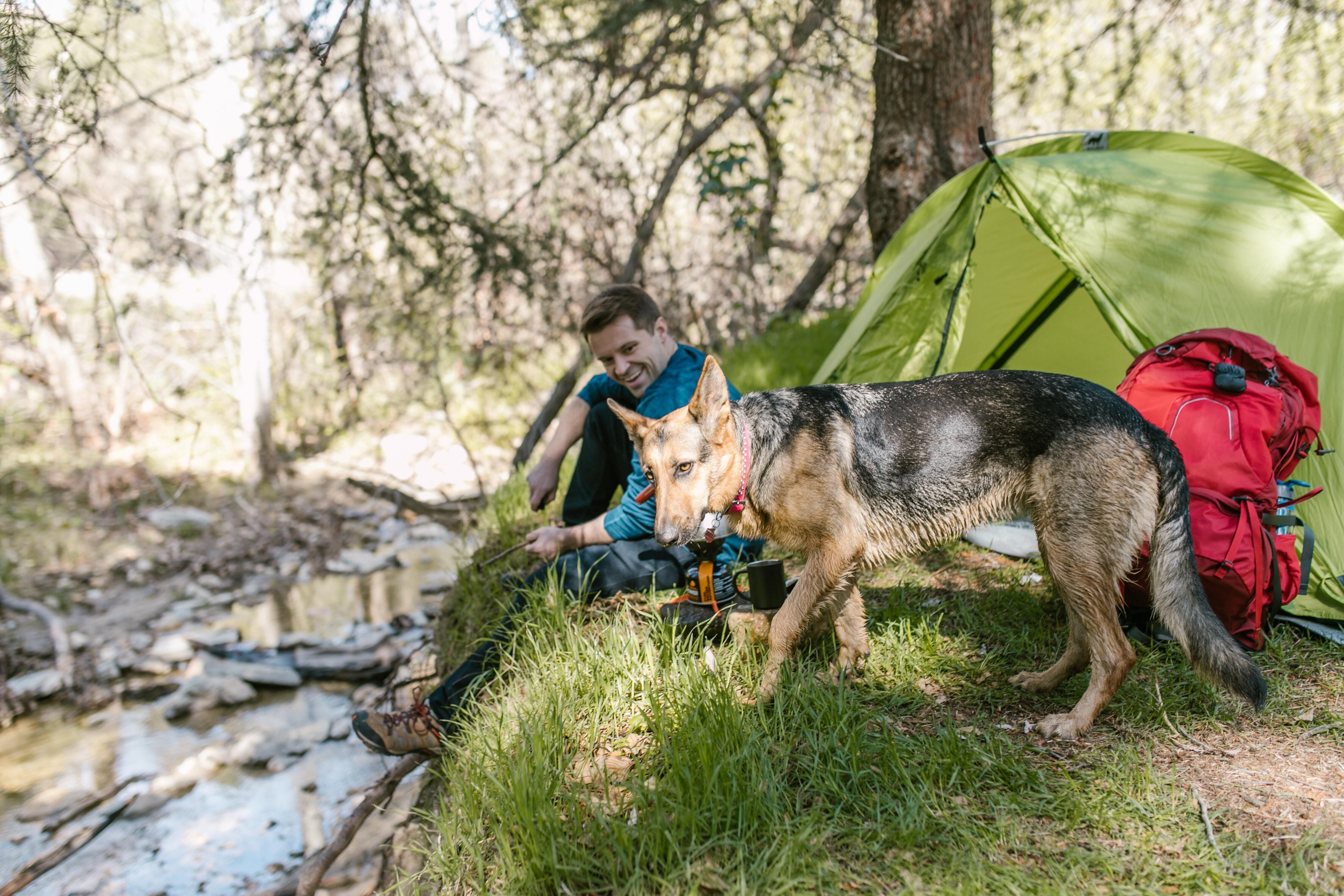 Protect Your Pets by Adding Them to Your Will/Estate