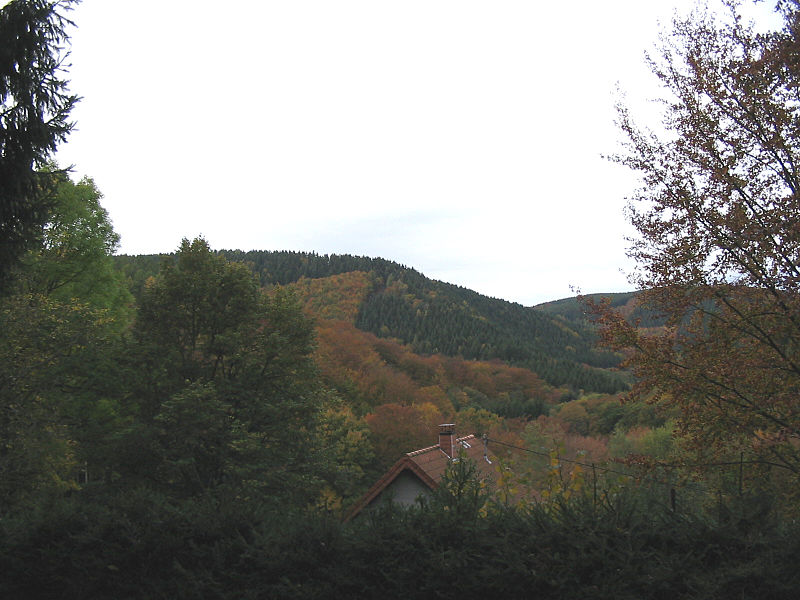 The Hürtgen Forest today