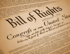 *Bill of Rights: Hypothetical Cases (FREE)