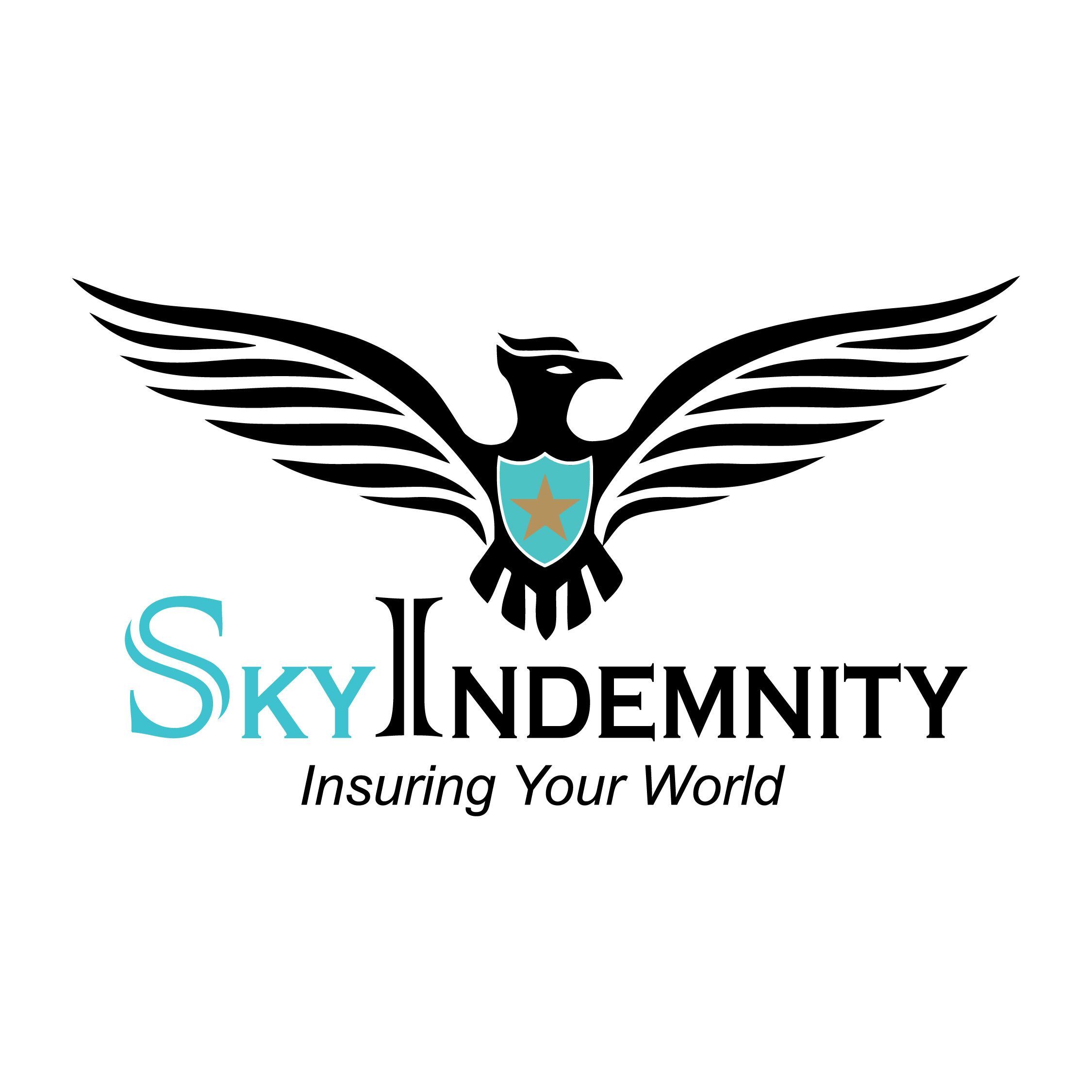 SkyIndemnity 