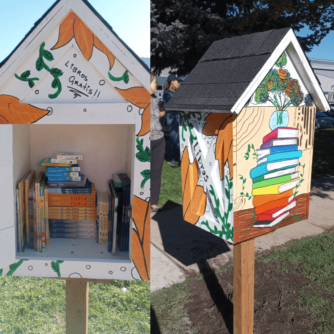 Little Libraries begin - 2021