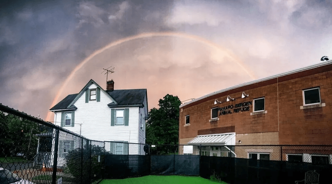 Giving Tuesday $25,000 Match Challenge