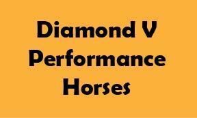 Diamond V Performance Horses