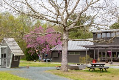 Arboretum Visitor's Center