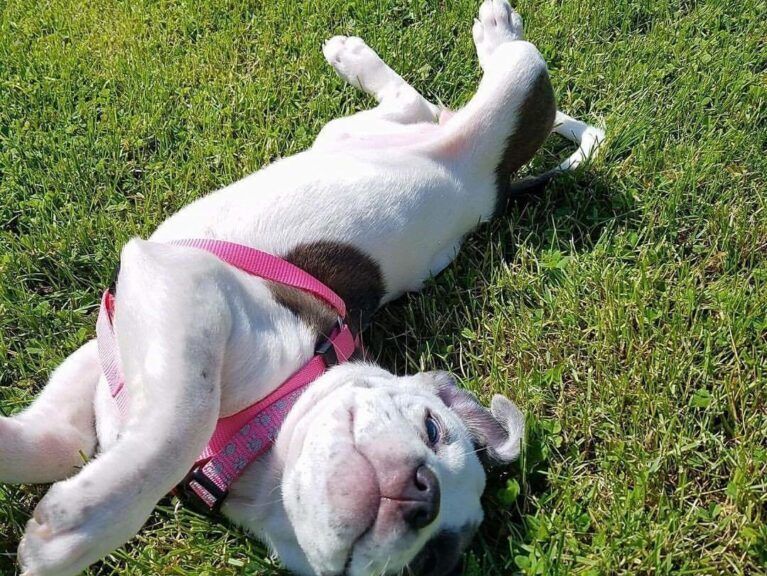 5 Things I Wish I Would’ve Known Before Fostering