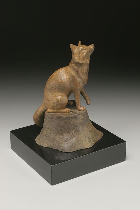 Red Fox: Catching the Scent