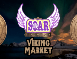 SOAR Sets Sail For Adventure at the Viking Market