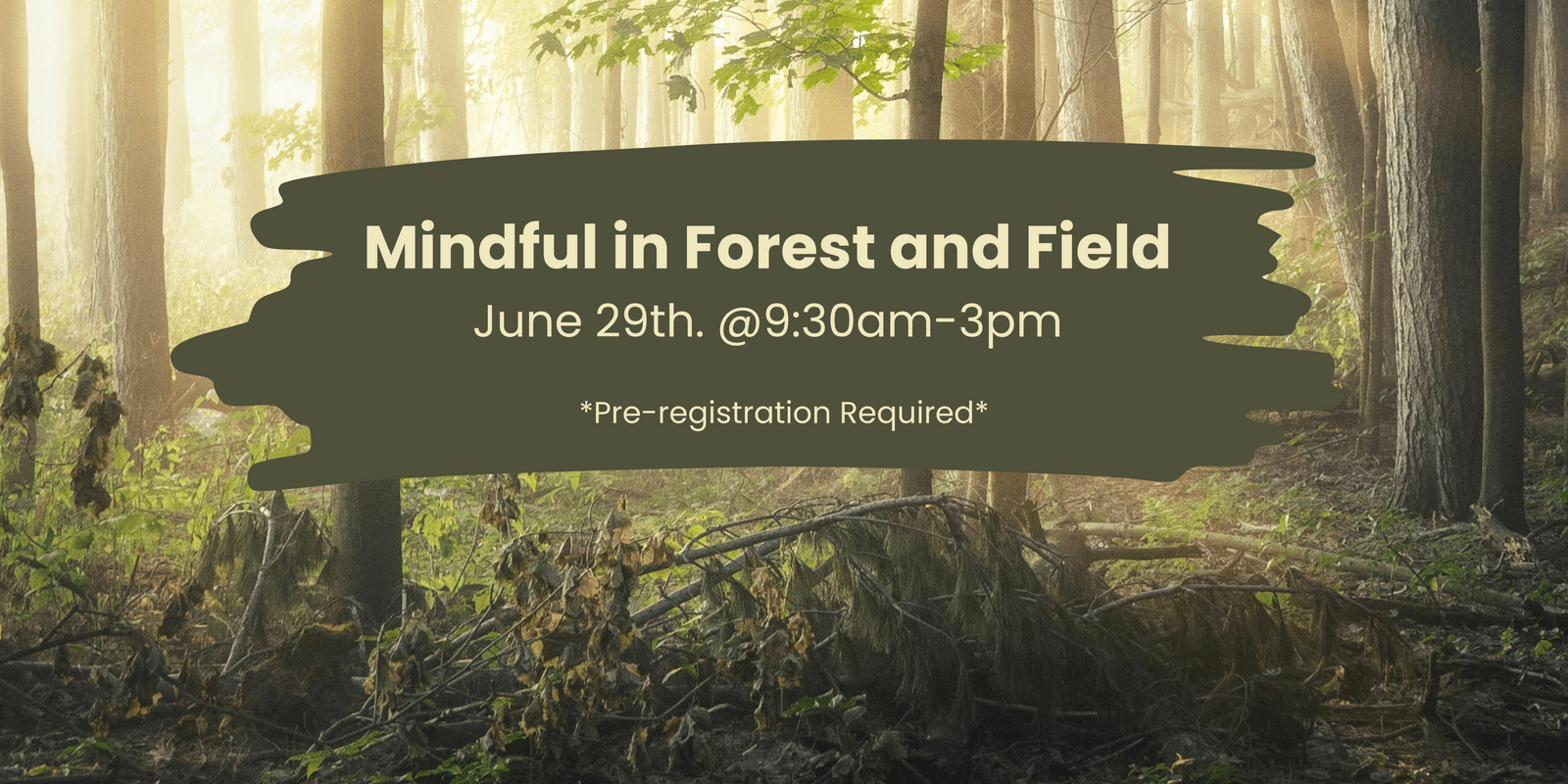 Mindful In Forest And Field : Event Calendar : Events : The Friends Of ...