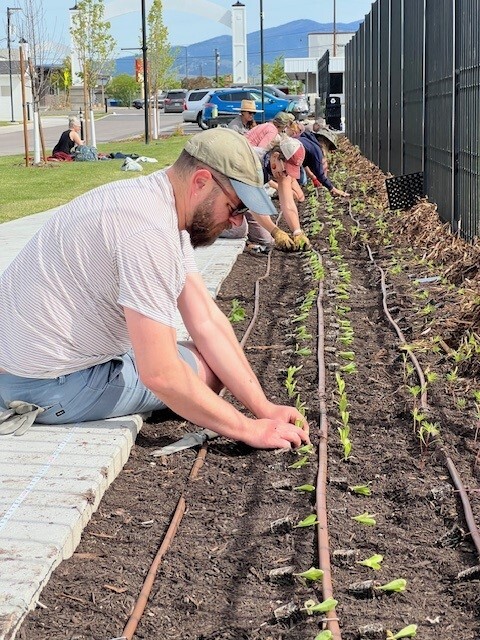 Gardening in Montana Class 2: Botany Basics & Plant Propagation