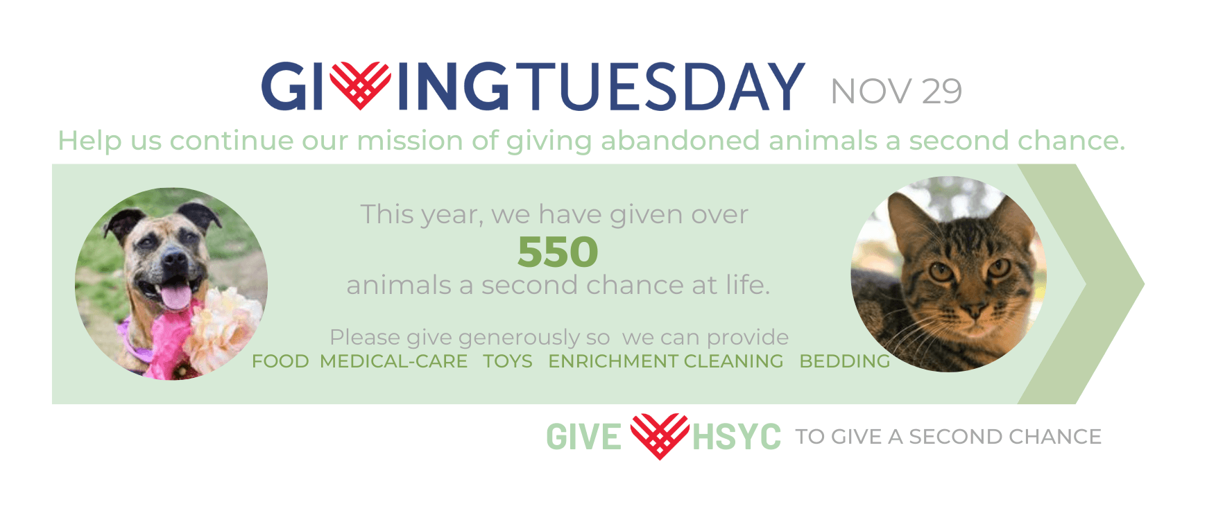 https://humanesocietyofyorkcounty.org/get-involved/fundraising-events/giving-tuesday-2022.html