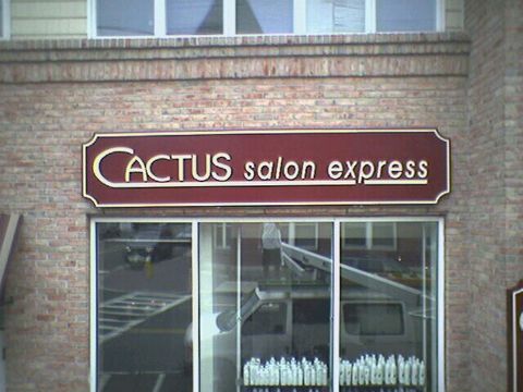 Cactus Salon