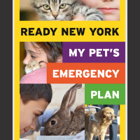 Pet Emergency Plan