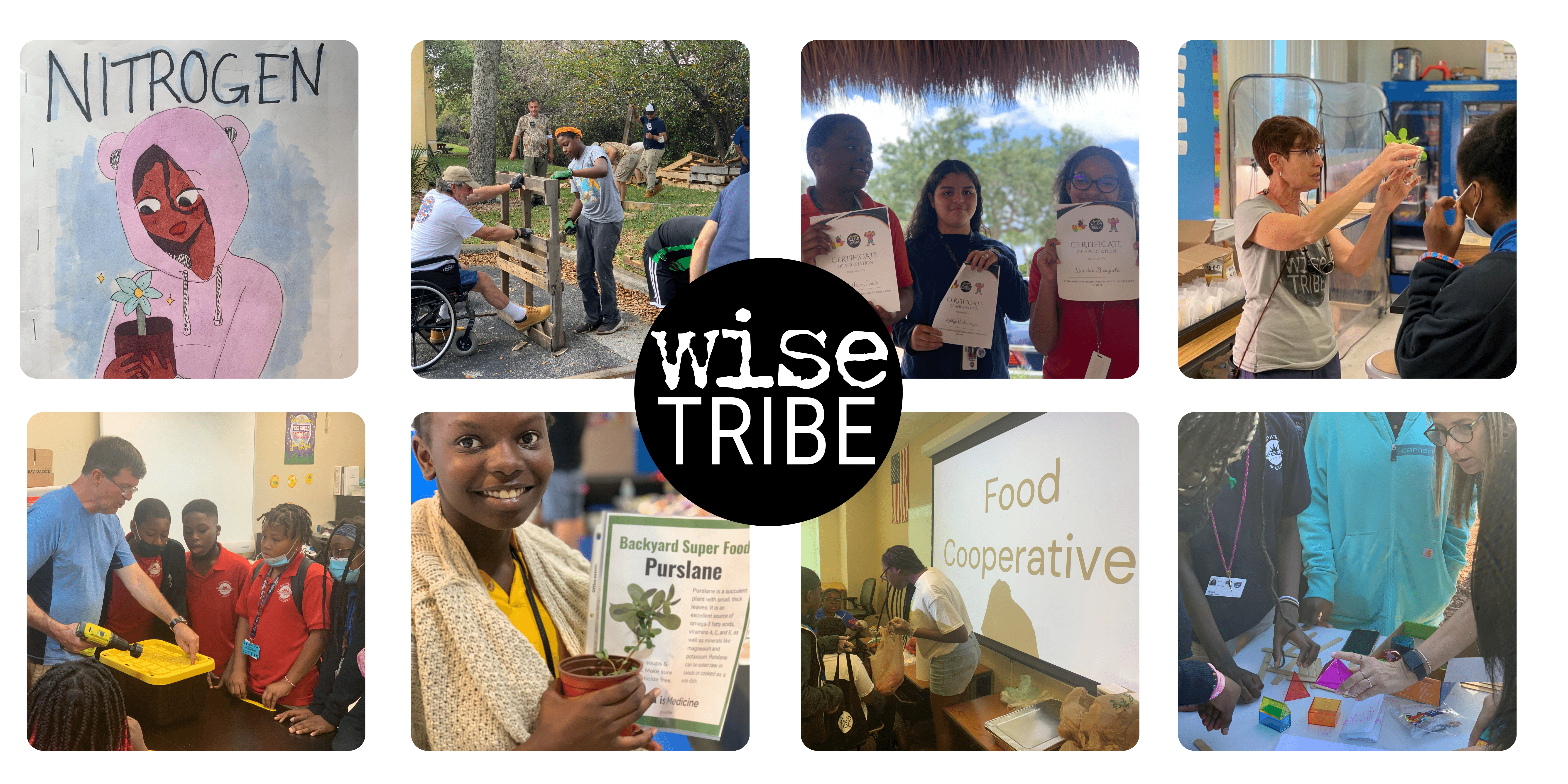 WiseTribe - United for a healthy and wise Learning future