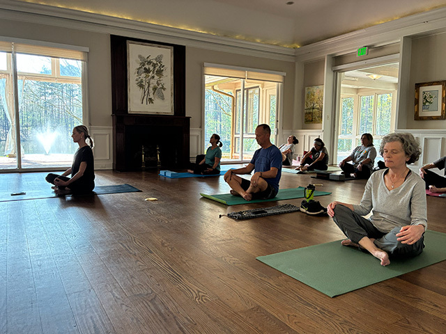 Immersive Yoga at Aldridge Gardens