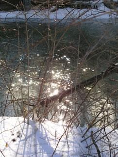 Daily Prayer February 9