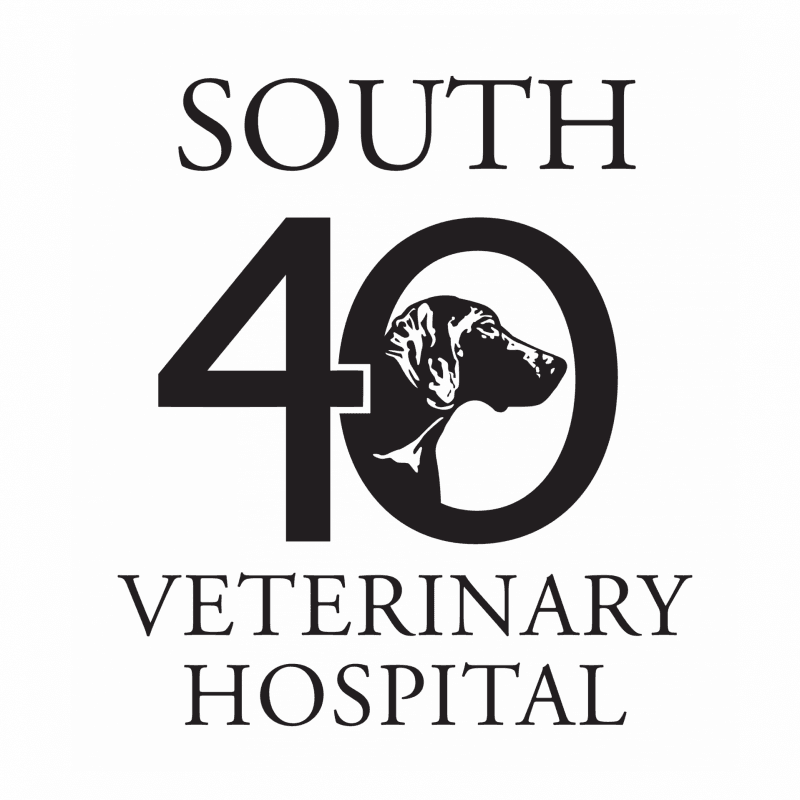 South 40