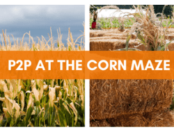 P2P at the Corn Maze