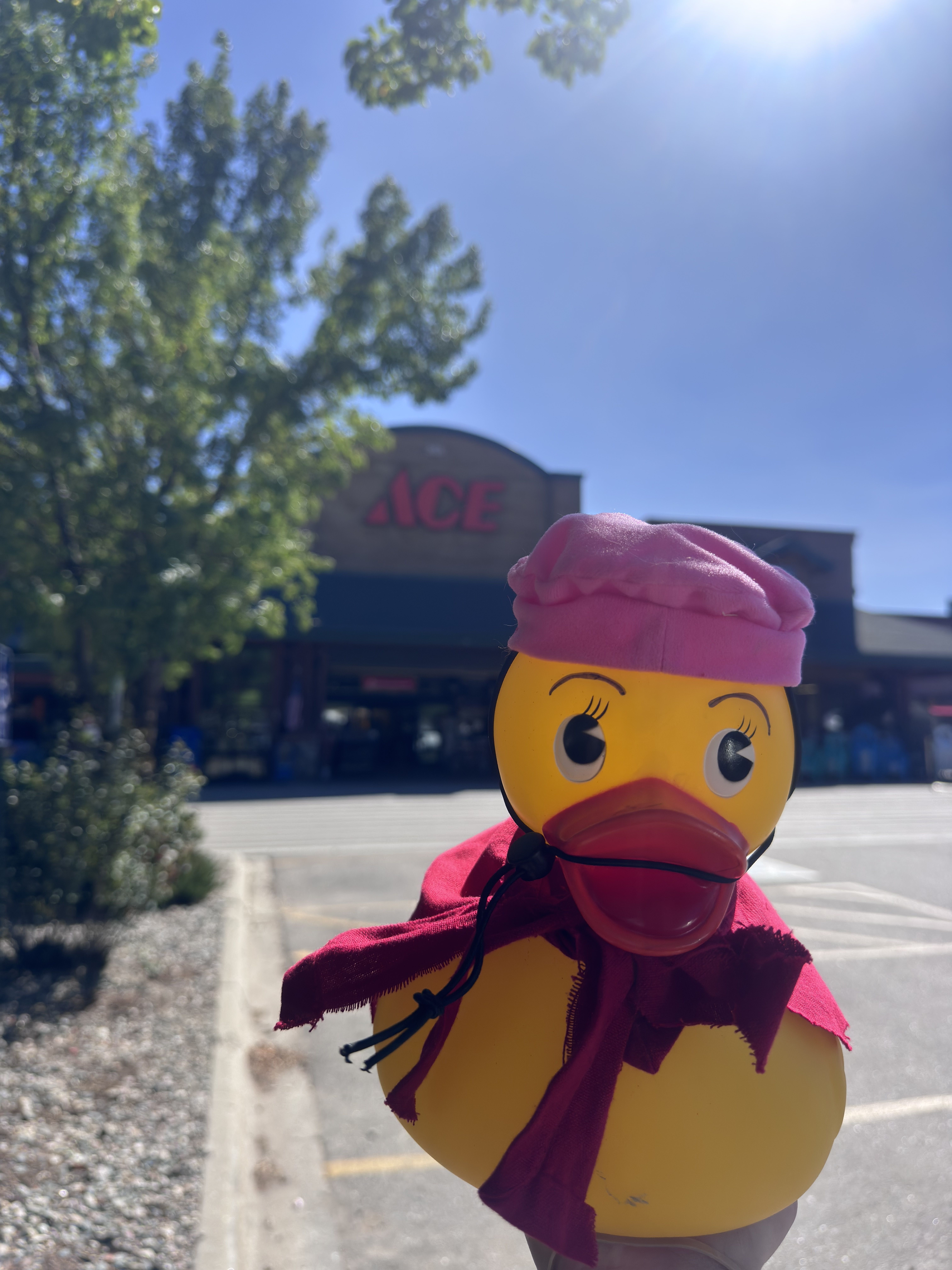Steamboat Ace Hardware