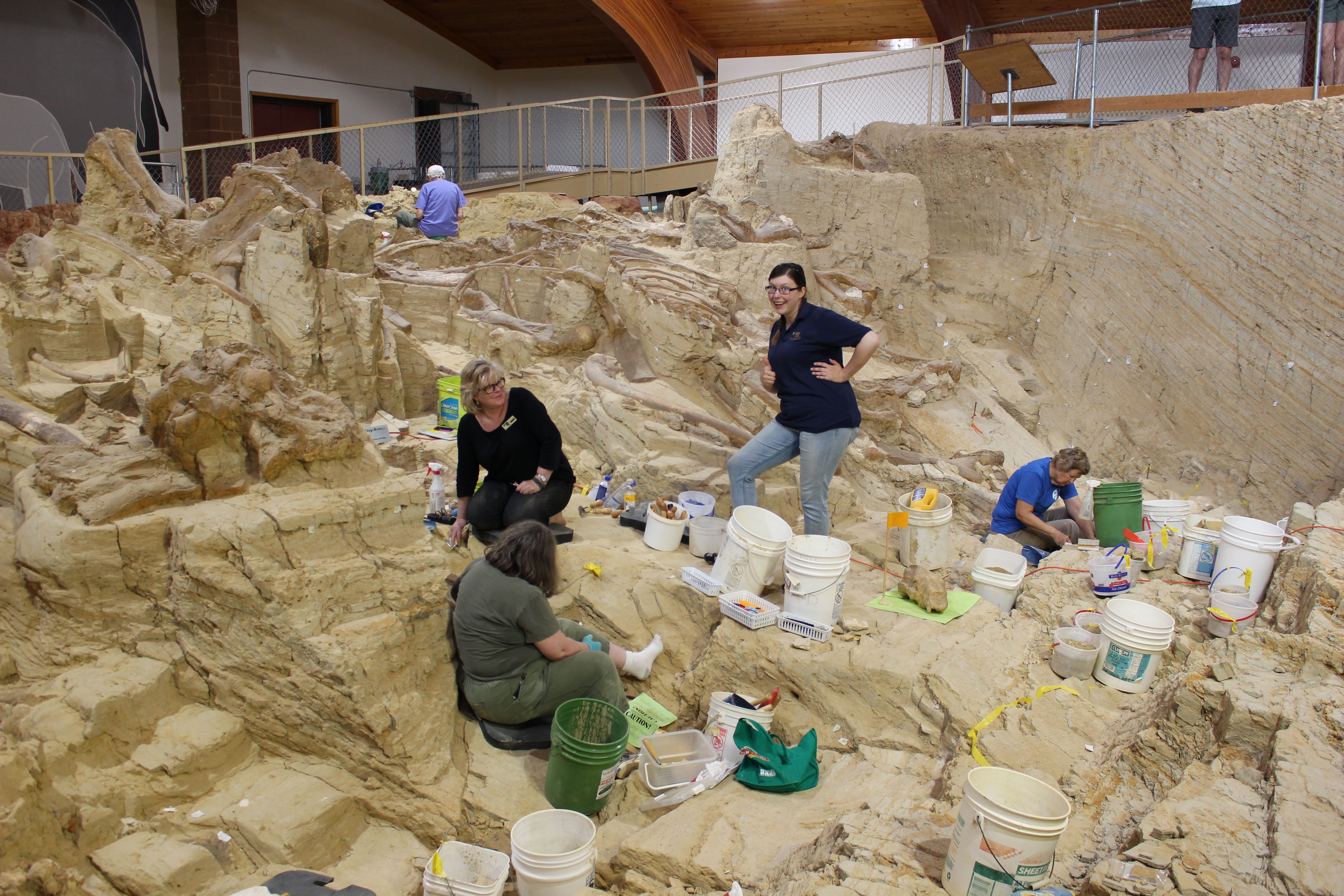 The Mammoth Site Excavation and Preservation Program
