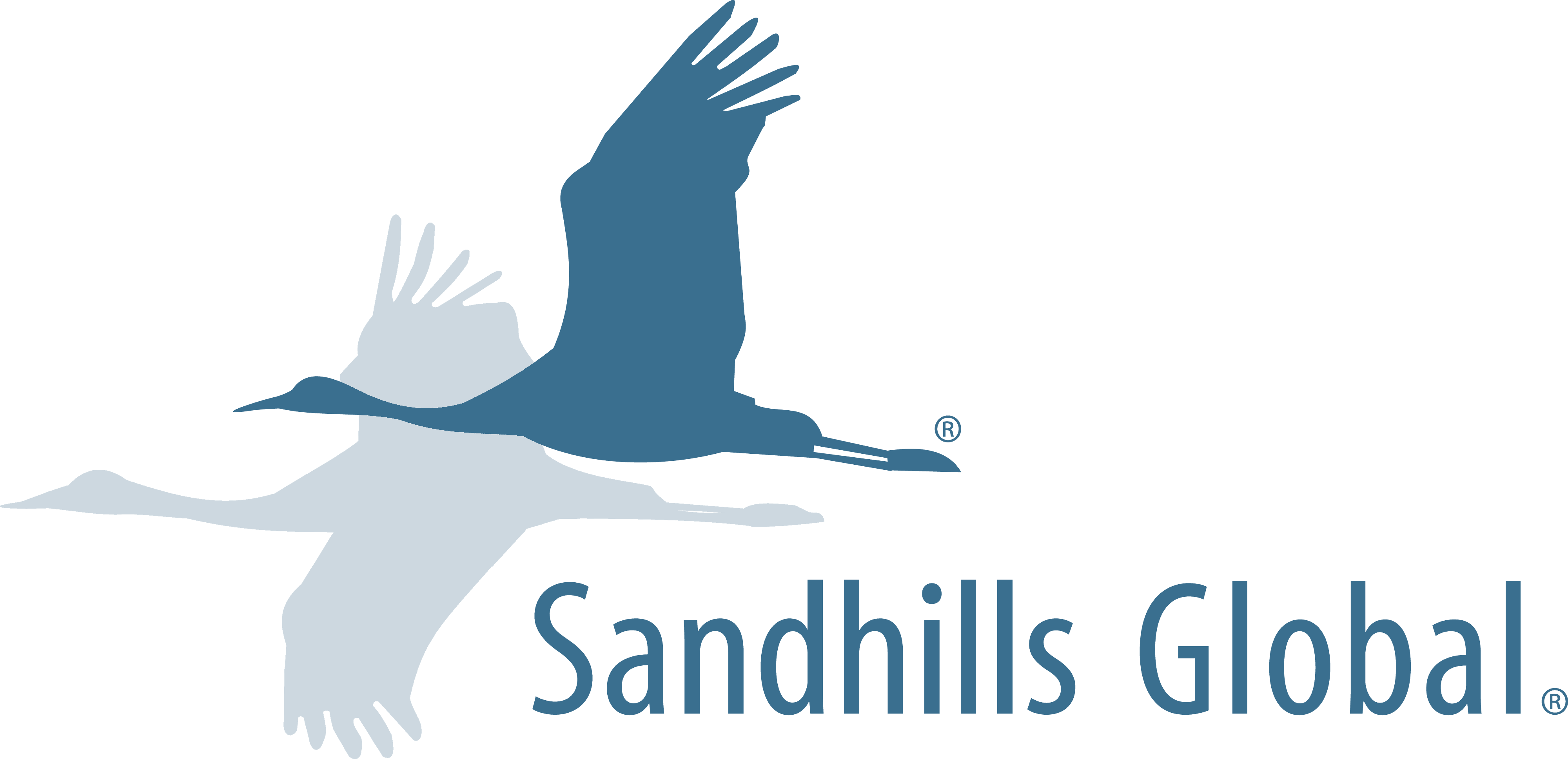 Sandhills Global 