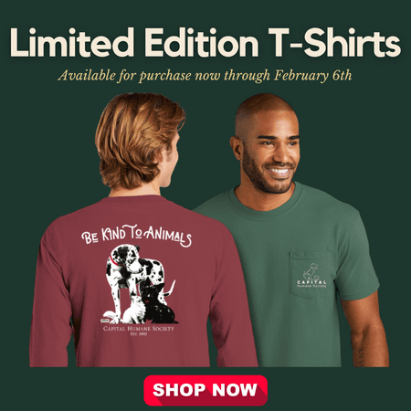 Limited Edition T-Shirts Available : Upcoming Events : News & Events :  Capital Humane Society