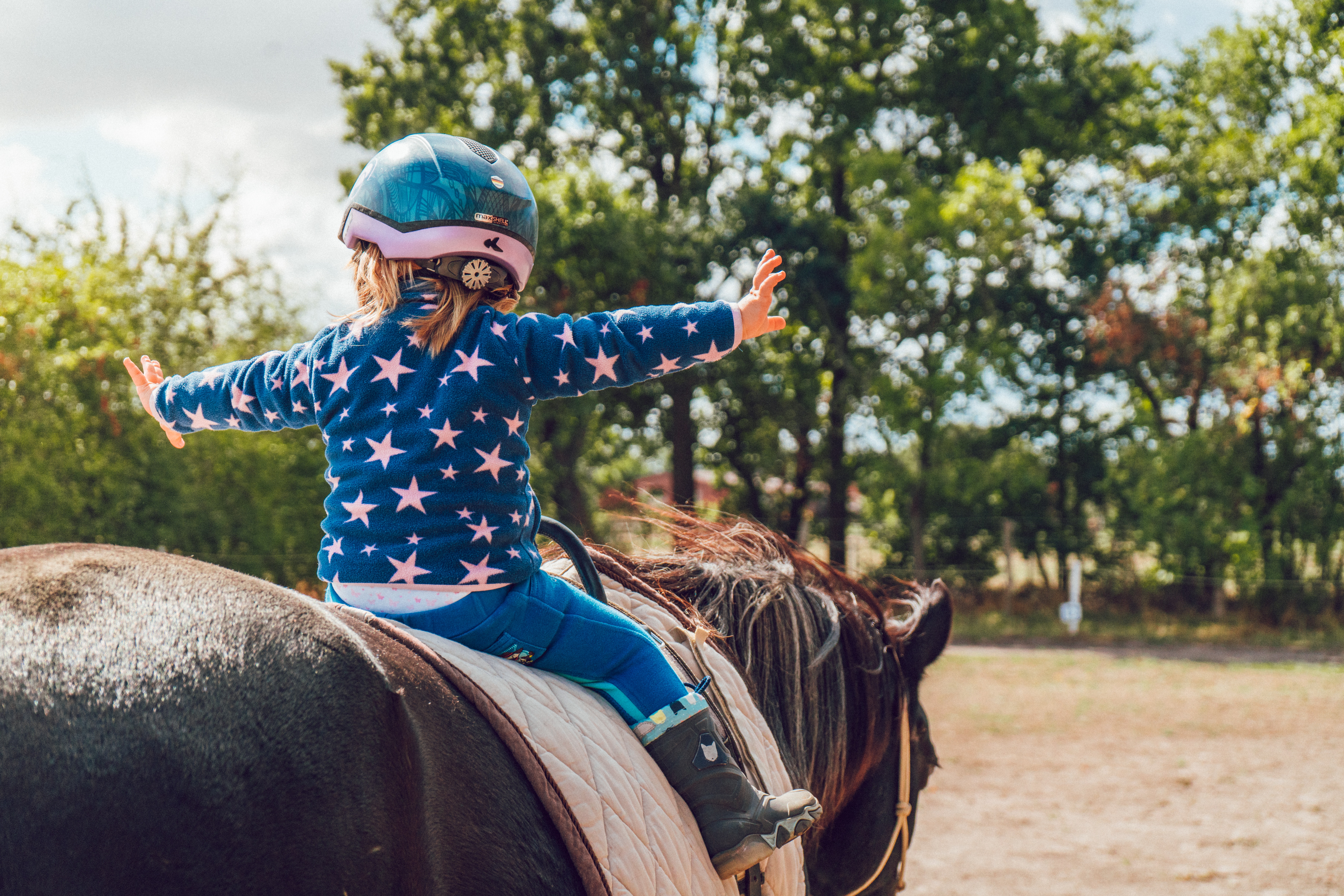 Benefits of Equine Therapy…From the Horse's Mouth
