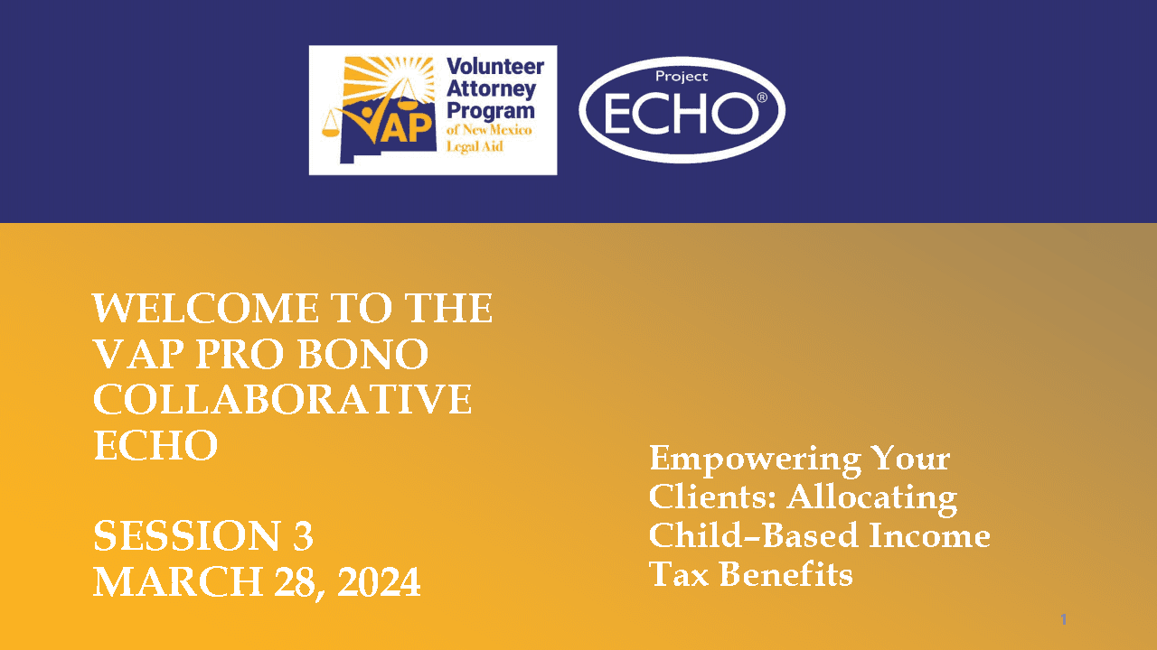 2024 Part 3:  Allocating Income Tax Benefits Between Parents in a Split-Up